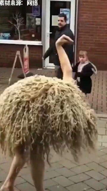 鸵鸟搞笑图,揭秘鸵鸟搞笑图背后的欢乐瞬间