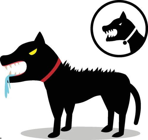 疯狗照片,疯狗照片背后的惊悚故事